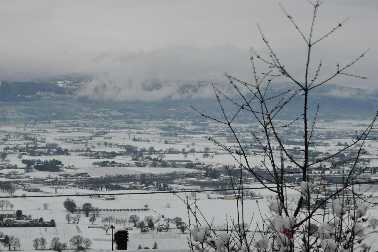 Da Franca Bed & Breakfast Assisi Eksteriør bilde